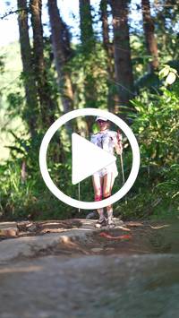 BIB:  <button type="button" onclick="openModal(26788123)" class="btn btn-primary btn-sm float-right" data-toggle="modal" data-target=".modal-high-quality">
                <i class="fa fa-download"></i> Download
                </button>